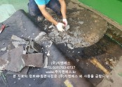 성남시 분당구 내정초등학교 옥상방수공사